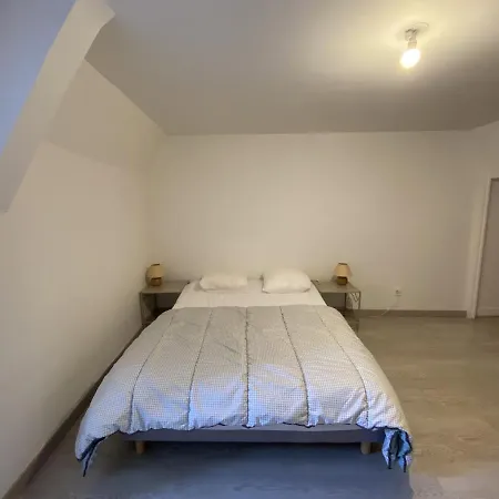 Confortable Proche Des Thermes Avec Lave-vaisselle Et Options De Location De Linge - Fr-1-541-9 La Roche-Posay