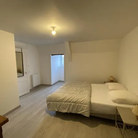 Confortable Proche Des Thermes Avec Lave-vaisselle Et Options De Location De Linge - Fr-1-541-9 * La Roche-Posay