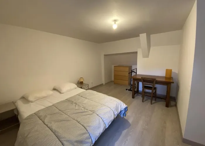 Confortable Proche Des Thermes Avec Lave-vaisselle Et Options De Location De Linge - Fr-1-541-9