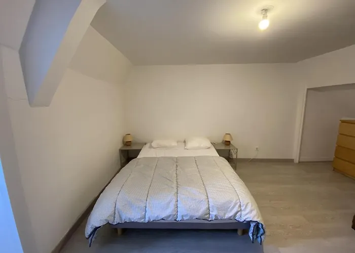 Confortable Proche Des Thermes Avec Lave-vaisselle Et Options De Location De Linge - Fr-1-541-9 La Roche-Posay