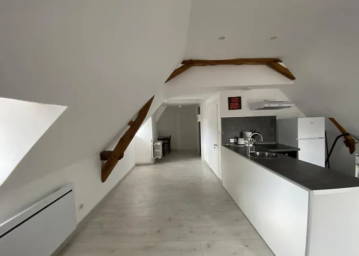 Confortable Proche Des Thermes Avec Lave-vaisselle Et Options De Location De Linge - Fr-1-541-9 דירה *